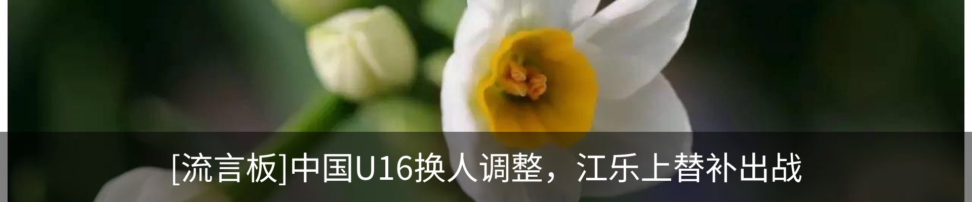 资讯中心